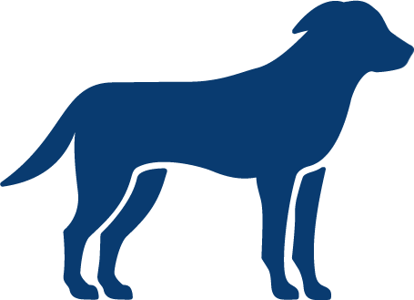 Canine LUTD